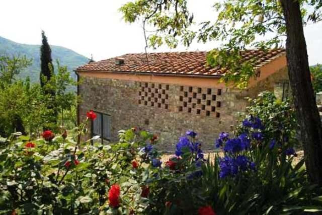 Oliva * Bagno a Ripoli