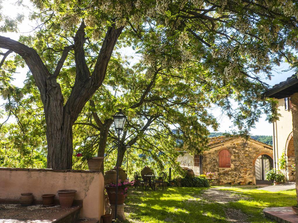 Oliva Agroturismo